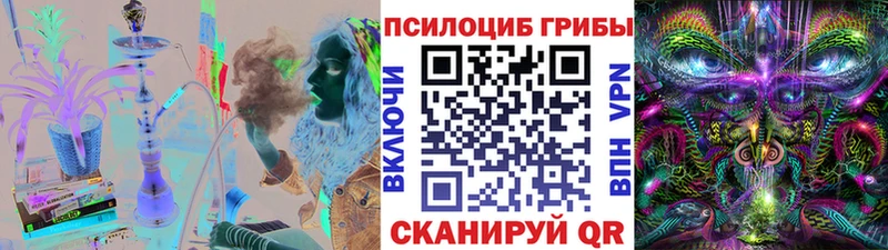 Псилоцибиновые грибы Cubensis  магазин    Костомукша 